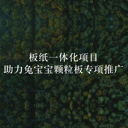 板纸一体化项目，助力兔宝宝颗粒板专项推广