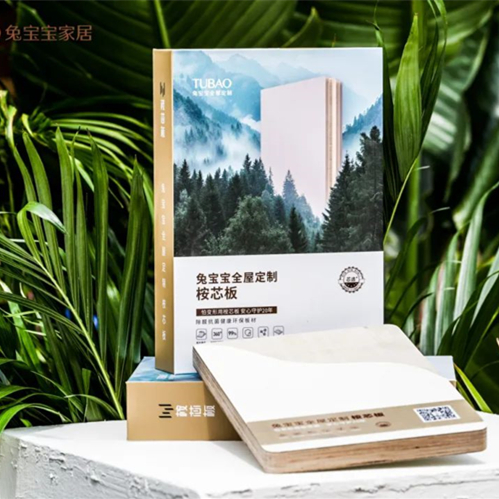 2025兔宝宝全屋定制春季新品发布会暨第十一届“兔宝宝杯”设计大赛启动会：以艺术、工艺重新定义品质家居！