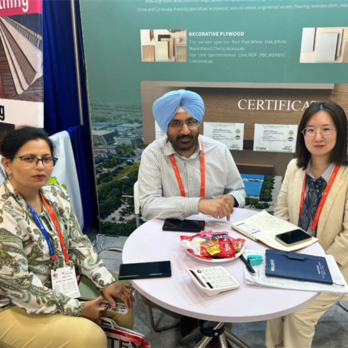 兔宝宝亮相拉斯维加斯展会，以“硬科技+强品牌”破圈出海