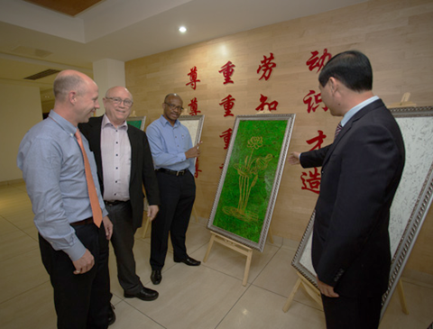 强强联手，构建多元化产学研合作，推动科技产业双丰收