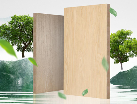 兔宝宝制定多项团体标准，推动行业规范化发展